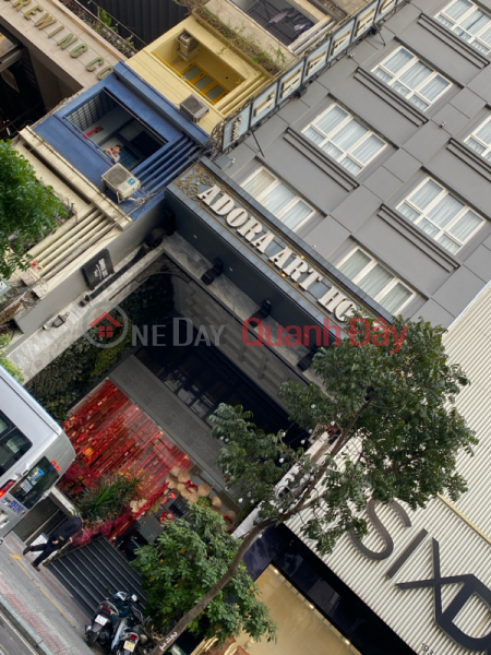 Adora Art Hotel- 191 Ly Tu Trong (Adora Art Hotel- 191 Lý Tự Trọng),District 1 | (2)