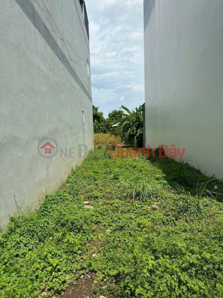 Beautiful Land - Good Price - Owner Needs to Sell a Plot of Land in a Beautiful Location in Cai Von Ward, Binh Minh, Vinh Long Sales Listings