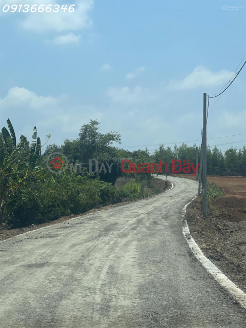 LAND FOR SALE IN LONG TAN COMMUNE (now Dat Do Commune, Ho Chi Minh City) with a 43m road frontage. Price for the entire plot. _0