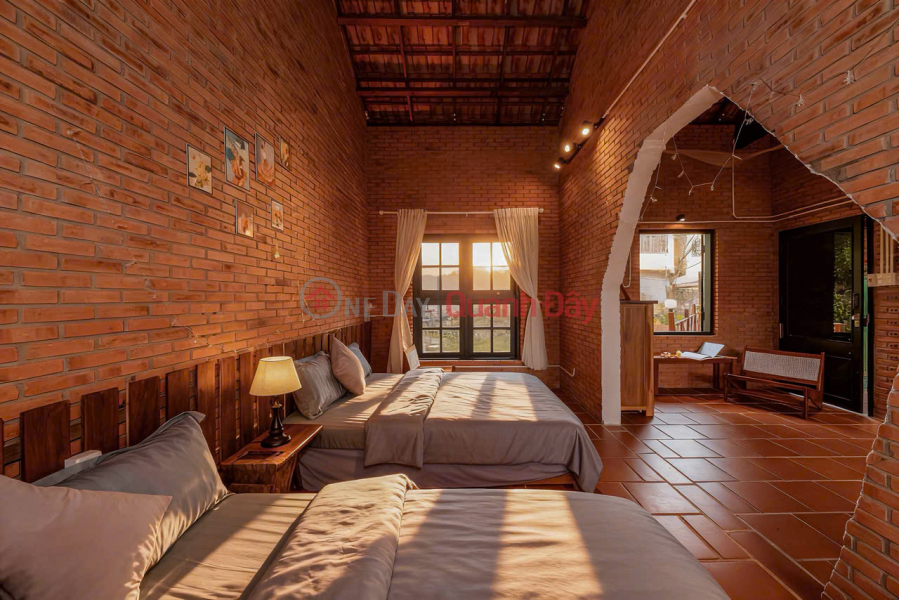 Cho thuê homestay 13 phòng 30 triệu/tháng Hùng Vương Phường 8 Đà Lạt | Việt Nam Cho thuê đ 30 triệu/ tháng