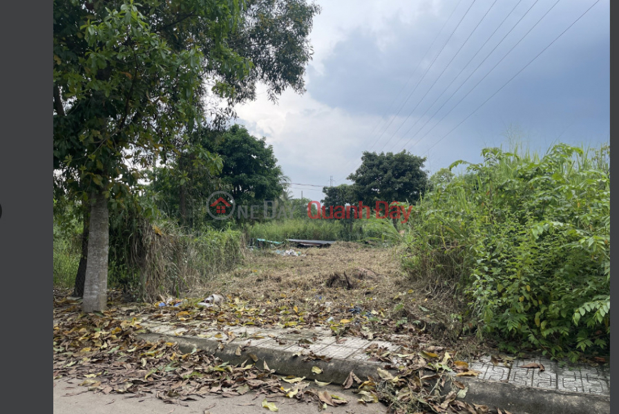 ₫ 5.4 Billion | Need to sell quickly plot of land 2MT - West Tu Trach (NE-TN) opposite Vinhomes GrandPark, Nguyen Xien, Long Thanh Ward