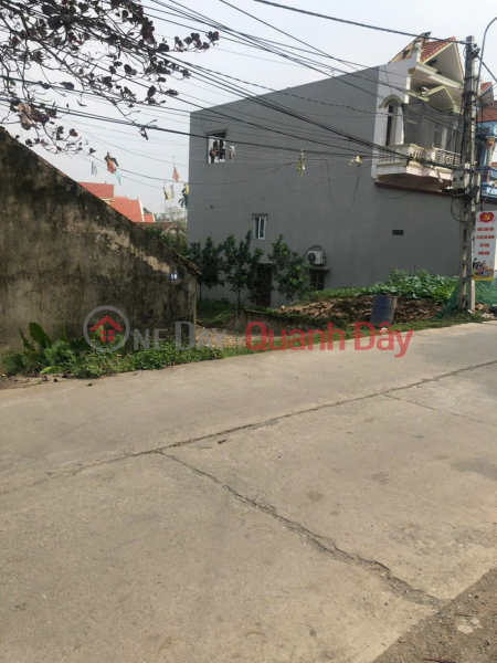 Hot land in Hoang Dieu - Chuong My - Hanoi. Area of 134m2 of inter-commune dike road surface., Vietnam | Sales | ₫ 2.5 Billion