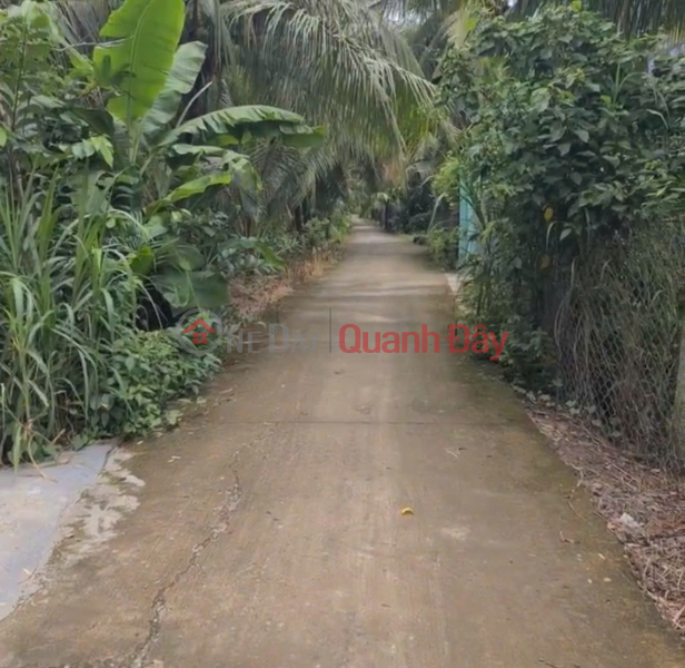  Làm ơn chọn, Nhà ở, Niêm yết bán đ 2,8 tỷ