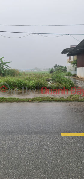 Property Search Vietnam | OneDay | Residential, Sales Listings, Selling 166m2 Corner Lot, Road Front, Business, Minh Hoa Commune, Hung Ha, Thai Binh.