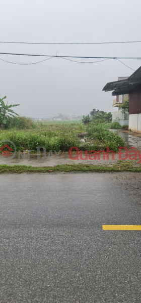 Property Search Vietnam | OneDay | Residential | Sales Listings Selling 166m2 Corner Lot, Road Front, Business, Minh Hoa Commune, Hung Ha, Thai Binh.