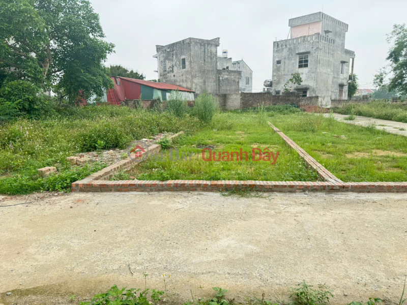 Property Search Vietnam | OneDay | Residential, Sales Listings | For only 2.5 billion VND, own a 54m² plot of land in Ấp Quan village - Tổ 9, Quang Minh commune, Mê Linh district. Wide road, parking available.