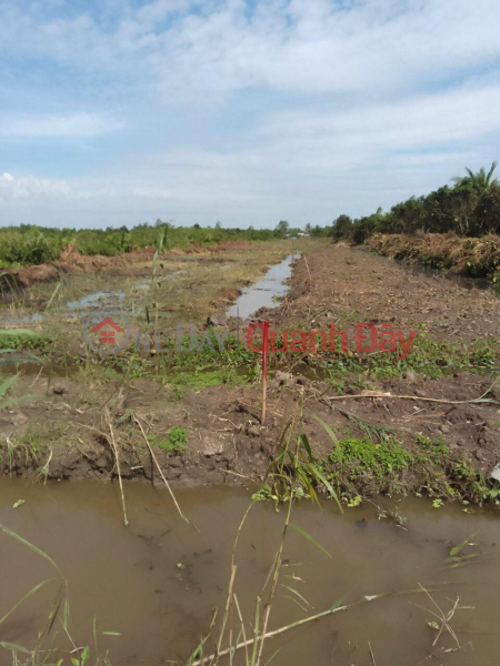 QUICKLY Own a Plot of Land Good Location - Preferential Price In Cai Rang District - Can Tho | Vietnam Sales đ 3 Billion