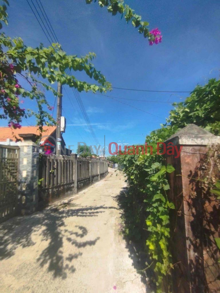 Property Search Vietnam | OneDay | Residential | Sales Listings Beautiful Land - Good Price - Owner Sells Land Plot Quickly at Tu Ngoc, Binh Tu, Thang Binh District, Quang Nam