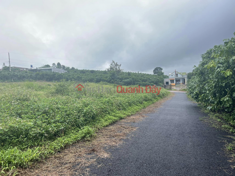 Property Search Vietnam | OneDay | Nhà ở, Niêm yết bán Chính chủ - bán đất Lộc Ngãi, Bảo Lâm 122m2 giá 495tr tl chính chủ 0932 711 009