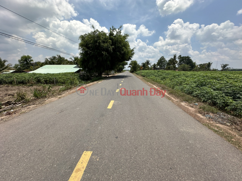 BEAUTIFUL LAND, GOOD PRICE, DT785B Tan Hoi Street, Tan Chau, Tay Ninh Sales Listings