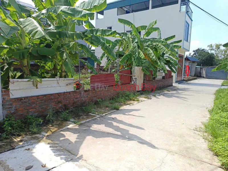 Bán đất Phù Trì, Kim Hoa, Mê Linh. Đường rộng, oto ra vào. Gần đường vành đai 4 | Việt Nam Bán, đ 2,6 tỷ