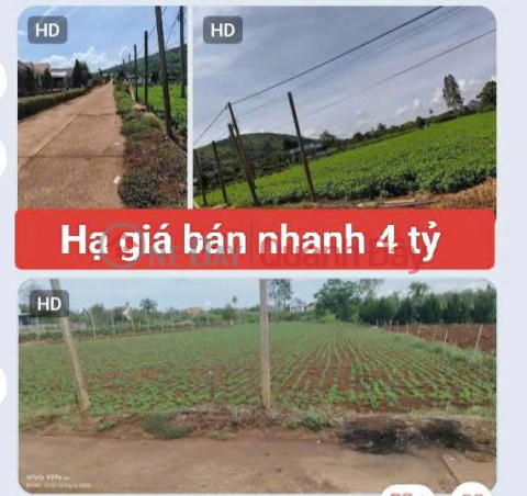 3120m2 of land for sale in Tan Hoi commune, Duc Trong district, Lam Dong province, price 4 billion VND. _0