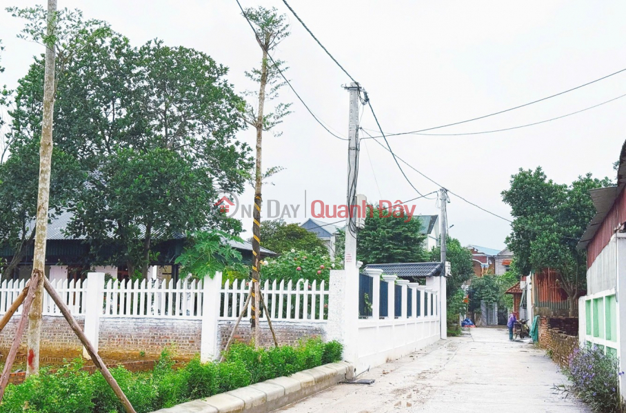 Property Search Vietnam | OneDay | Residential | Sales Listings | ONLY 18 LAND LOTS LEFT AT F0 PRICE IN PHU NINH - VALLEY PROJECT AREA - RED BOOK FOR EACH LOT - PROFITABLE INVESTMENT