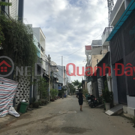 Bán Nhà Trường Lưu, Khu phân lô, hẻm tải, 55m2 giá 3.55 tỷ _0