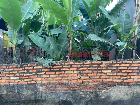 PRIME LAND – GREAT PRICE – OWNER URGENTLY SELLING in Quang Cat Commune, Thanh Hoa City, Thanh Hoa Province _0