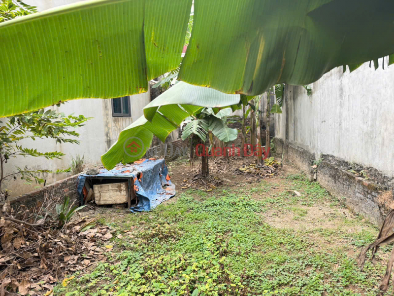 Bán gấp 74m đất thôn Chi Đông 2, xã Quang Minh, TP HN. Cách 500m tiện ích bạt ngàn Niêm yết bán