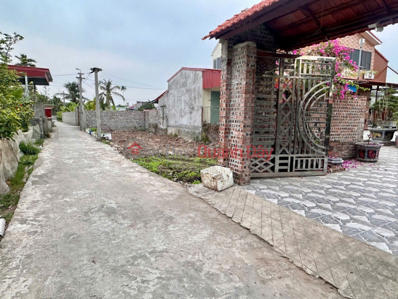 Property Search Vietnam | OneDay | Nhà ở | Niêm yết bán | Bán đất Dân Tiến Nam Đồ Sơn giá hiếm hơn 6xx triệu ngõ ô tô ZALO 0567 222 555