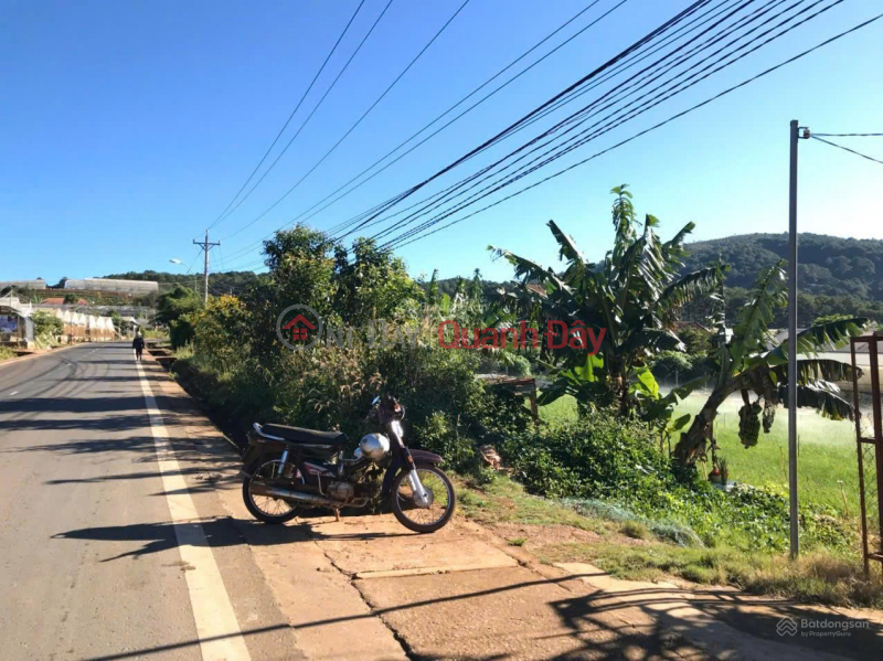 Property Search Vietnam | OneDay | Residential, Sales Listings | Residential land (ONT) with frontage on National Highway 725, Ta Nung, Da Lat. Gateway to Ta Nung, Nam Ban, near the market and commune office.