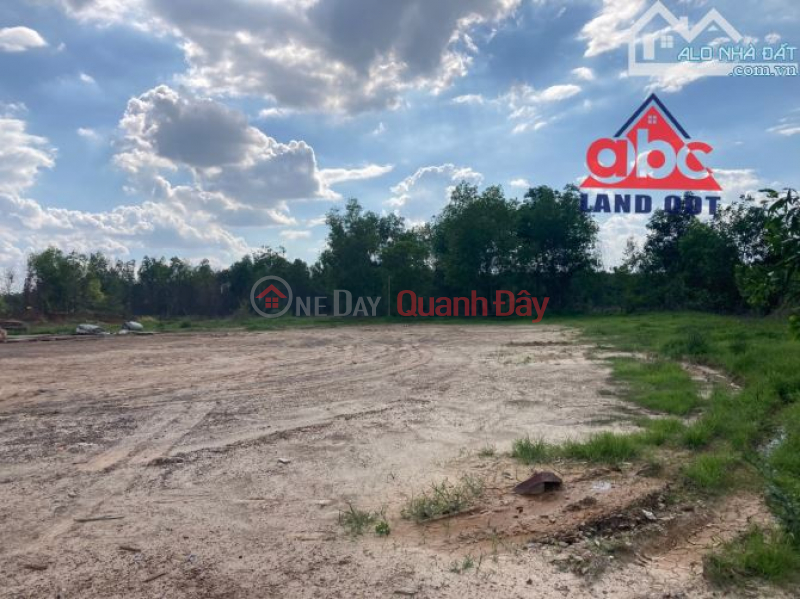 Urgent transfer of land frontage on road number 18 Lac Thuan, Lac Tanh, Tanh Linh district, Binh Thuan province. Sales Listings