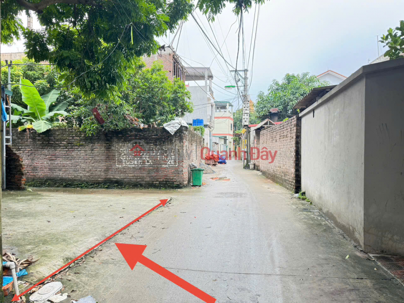Bán đất tổ 5, Chi Đông, Mê Linh. Lô góc. Gần KCN Quang Minh và chợ đình Chi Đông | Việt Nam Bán | đ 4,45 tỷ