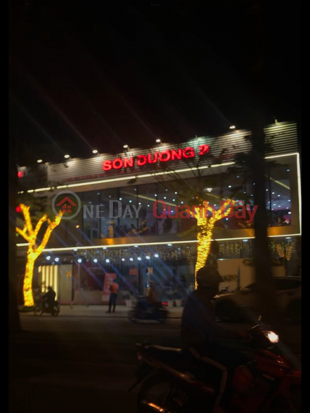 Son Duong 2 Restaurant Da Nang (Nhà hàng Sơn Dương 2 Đà Nẵng),Hai Chau | (1)