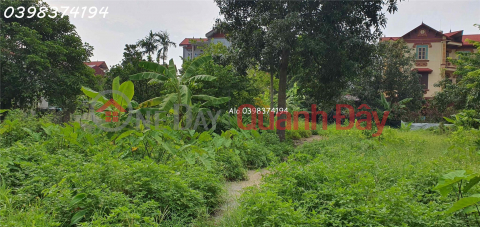 For a little over 2 billion, there is a beautiful, full-residential land in Van Noi, 77.5m2 _0