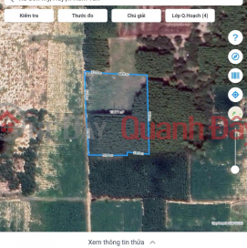 OWNER NEEDS TO SELL Land in Son My, Ham Tan, Binh Thuan. _0