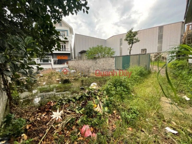 OWNER NEEDS TO SELL 201M2 LAND LOT IN DONG PHUONG YEN-CHUONG MY-HANOI, Vietnam Sales | đ 10 Million