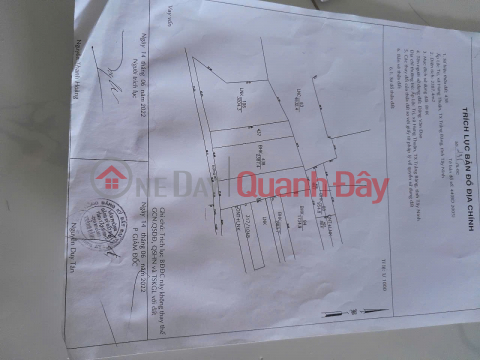 BEAUTIFUL LAND - GOOD PRICE - OWNER NEEDS TO SELL Hung Thuan, Trang Bang, Tay Ninh _0