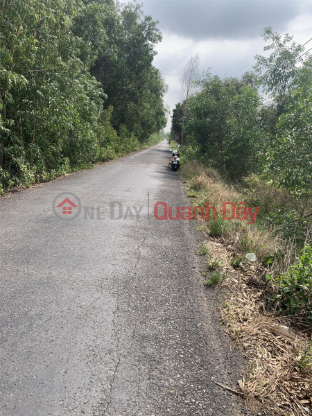 HOT!!! FOR QUICK SALE Land Plot In Phuoc Lap Commune - Tan Phuoc - Tien Giang Sales Listings