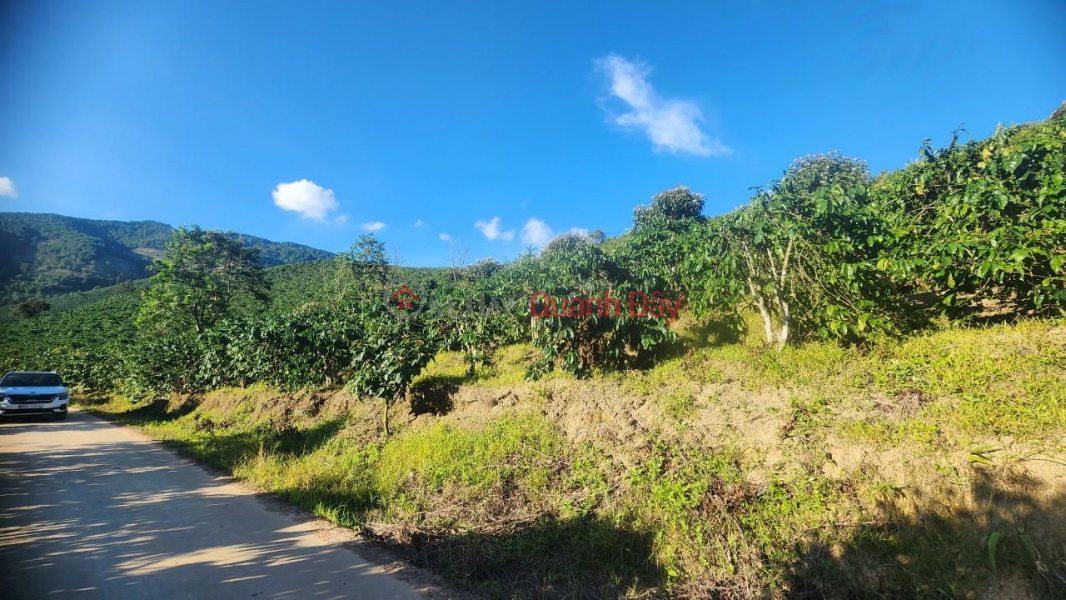 Property Search Vietnam | OneDay | Residential, Sales Listings BEAUTIFUL LAND - GOOD PRICE - Fast Selling Land Lot with Good Location in Phi To Commune, Lam Ha District, Lam Dong Province