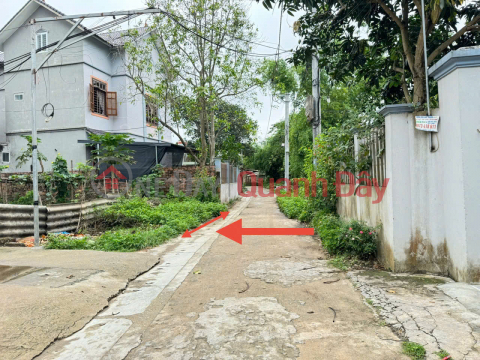 Selling 46m2 of land in Bao Thap village, Kim Hoa, Me Linh. Three steps to Ring Road 4 _0
