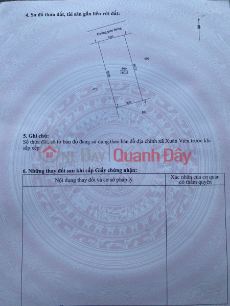 Property Search Vietnam | OneDay | Residential, Sales Listings OWNER URGENTLY NEEDS TO SELL A BEAUTIFUL PLOT OF LAND AT A GOOD PRICE – Xuan Vien Commune, Nghi Xuan District, Ha Tinh Province