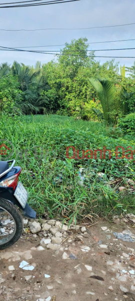 Property Search Vietnam | OneDay | Nhà ở Niêm yết bán | ĐẤT ĐẸP – GIÁ TỐT – CHÍNH CHỦ CẦN BÁN Tại đường Vườn Táo, Phường 7, Quận 8, HCM