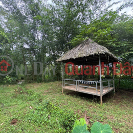 OWNER URGENTLY NEEDS TO SELL A Plot Of Garden Land In Xuan Que Commune, Cam My District, Dong Nai Province _0