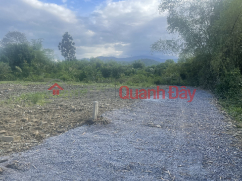 BEAUTIFUL LAND, FULL TERRITORY, FOR SALE CHEAP BY OWNERS FOR ONLY 640 MILLION\/LOT IN DIEN LAM, DIEN KHANH _0