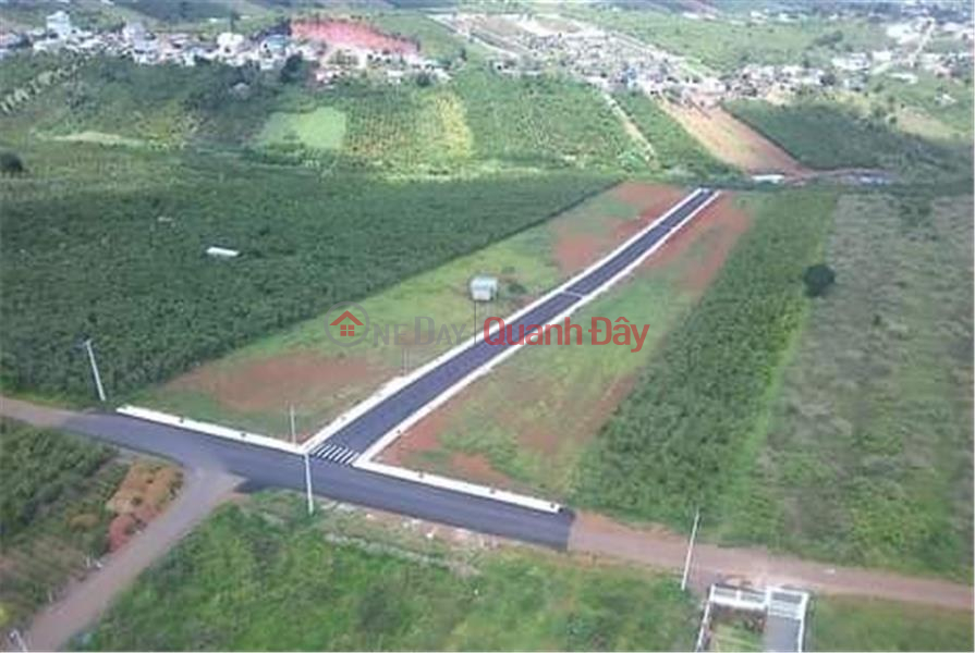 BEAUTIFUL LAND - GOOD PRICE - Land Lot For Sale Prime Location In Loc Quang Commune, Bao Lam District, Lam Dong | Vietnam Sales | đ 120 Billion