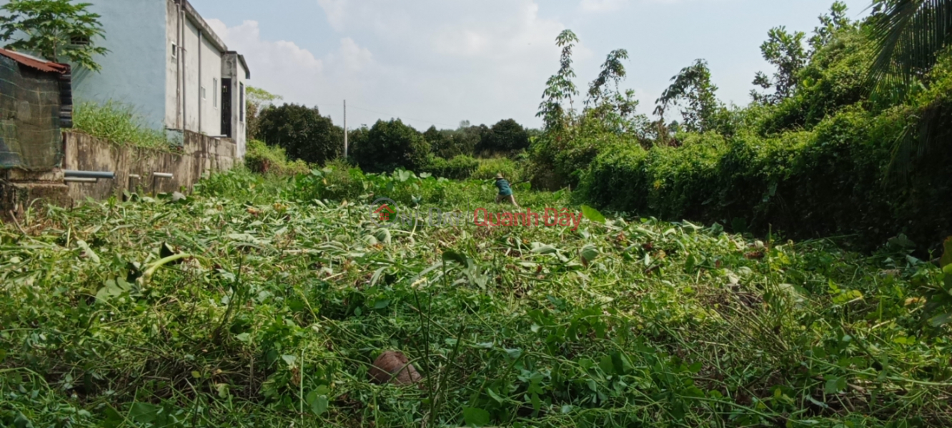 ₫ 3.8 Billion | BEAUTIFUL LAND - GOOD PRICE - OWNER Needs to Urgently Sell Land Lot, Nice Location in Phu My Hung, Cu Chi - HCM