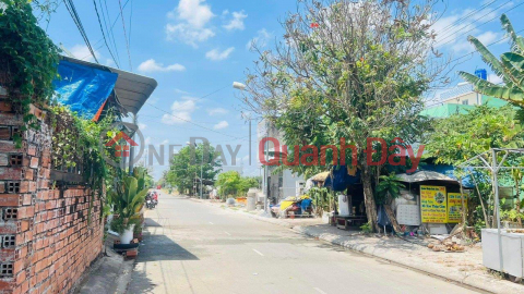 BEAUTIFUL LAND - GOOD PRICE - 2 Five-Star Residential Land Lots for Sale - Long Dinh, Can Duoc, Long An _0