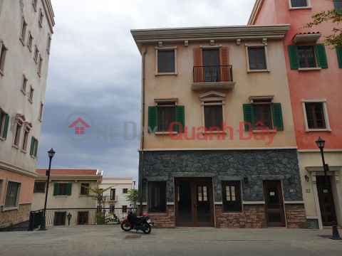 Selling Sun Premier shophouse 124m2 - golden business premises | ready for you to build _0