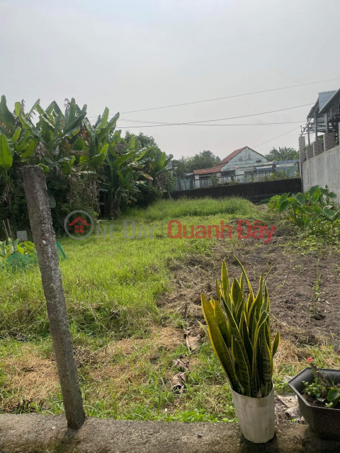 Owner Needs To Sell 3m Kiet Plot Go Ha Village, Hoa Khuong Commune, Hoa Vang District, Da Nang _0