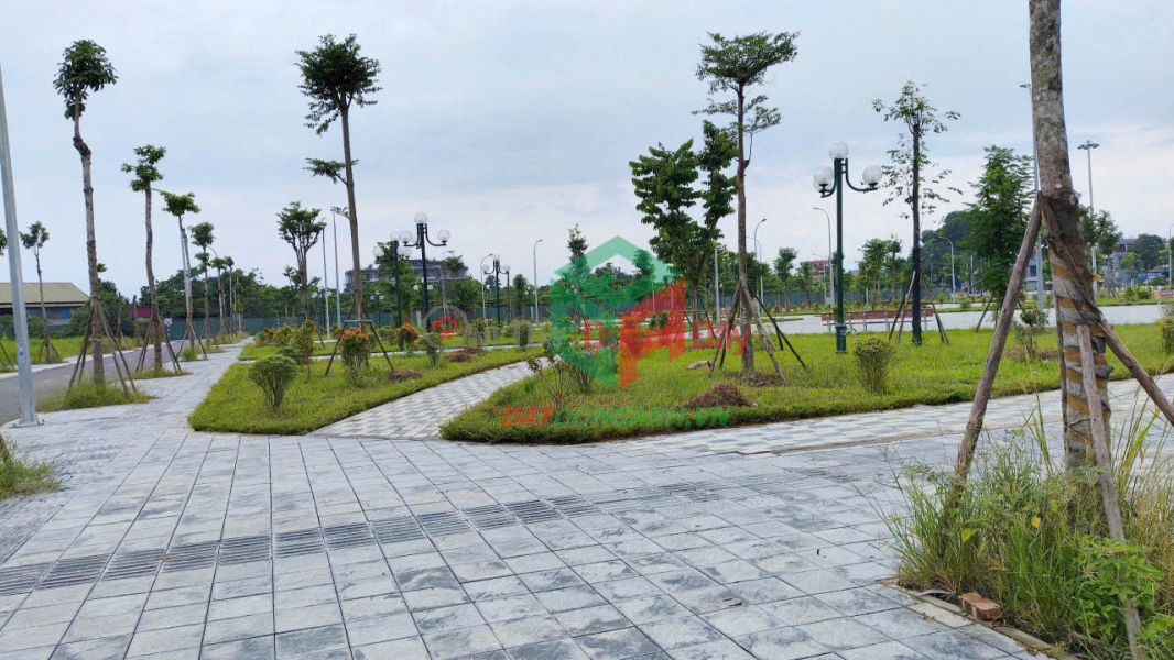 Auction land for sale X1 Nguyen Khe - 80m2 - Park view - 20m wide road Sales Listings