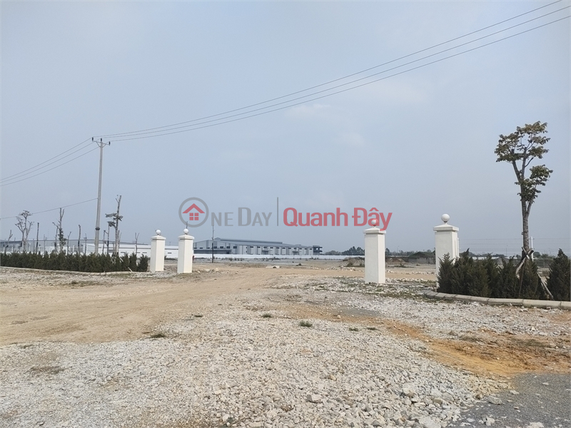 đ 105 Million Need to transfer 20ha of land for warehouse and factory for 50 years in Dong Van Industrial Park, Ha Nam Province