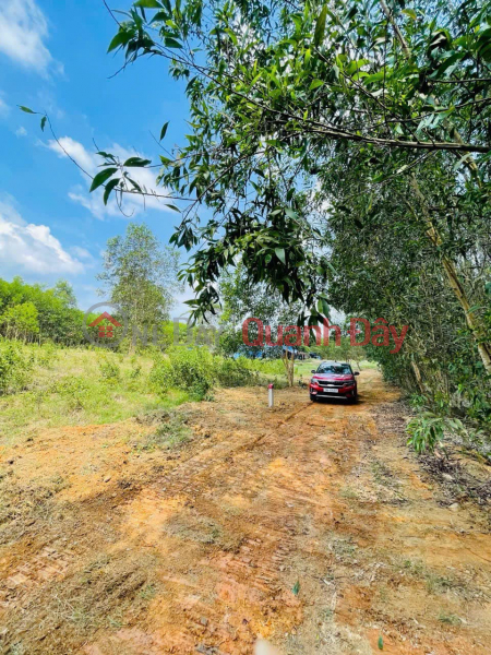 Property Search Vietnam | OneDay | Residential Sales Listings | Hot item! Opening for sale 4 cheap land lots from only 185 million\\/lot in Dien Xuan commune, Dien Khanh, Khanh Hoa.