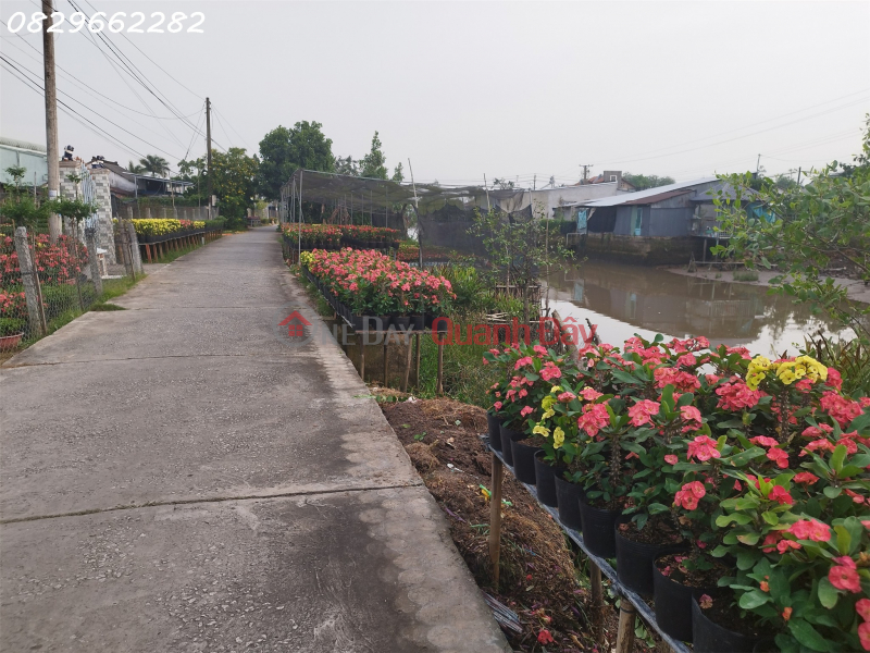 Urgent Sale of Residential Land 308m², Pham Hong Thai Street, Sa Dec, Dong Thap - 1 Billion 950 Sales Listings