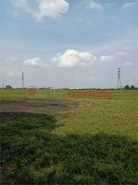 Selling 15,000m2 of warehouse and factory land in Ninh Hiep, Gia Lam District, Hanoi _0