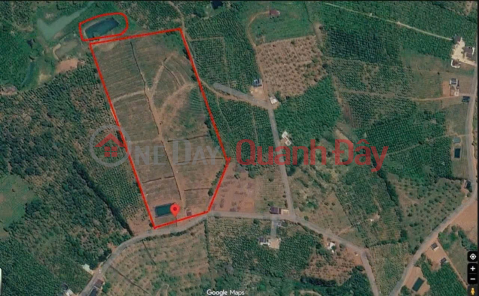 ĐẤT ĐẸP – GIÁ TỐT – CẦN BÁN 3HA ĐẤT TẠI Nghĩa Tín, Phường Bắc Gia Nghĩa, Tỉnh Lâm Đồng. _0