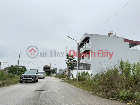 OWNER SELLS LAND - CHI DONG URBAN AREA - BIGGEST PARK VIEW - SUPER INVESTMENT PRICE _0