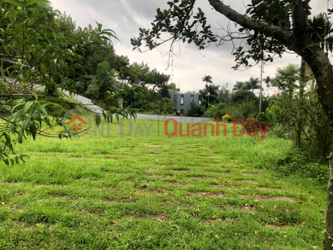 RARE! OWN A BEAUTIFUL LOT OF LAND - GOOD PRICE at Minh Phu Forest Farm, Soc Son, Hanoi _0