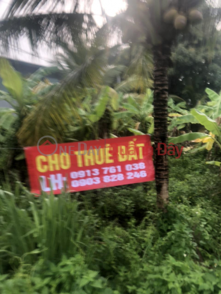 Property Search Vietnam | OneDay | Residential | Rental Listings | GENERAL Quick Leasing Land Lot In Nhi Binh Commune, Hoc Mon District, Ho Chi Minh City